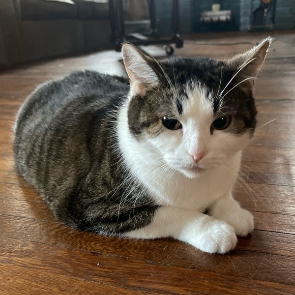 LIVE SHOWS / HOST APPRECIATION - Picture 4 of 14